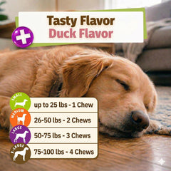 Close-up view of the soft chew texture of Pet Naturals Daily Probiotic.