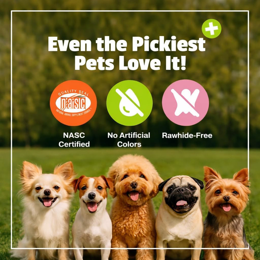 A large dog is shown with Pet Naturals Daily Probiotic soft chews.