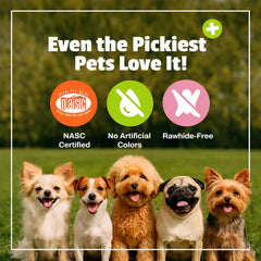 A large dog is shown with Pet Naturals Daily Probiotic soft chews.