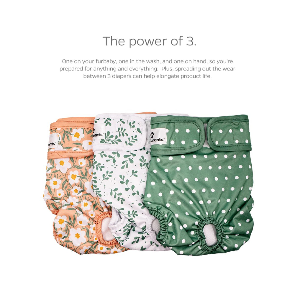 Pet Parents dog diaper Extendrs adjustment pieces shown together.