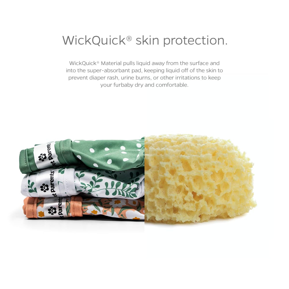Pet Parents washable dog diaper laid flat to show the wrap shape.