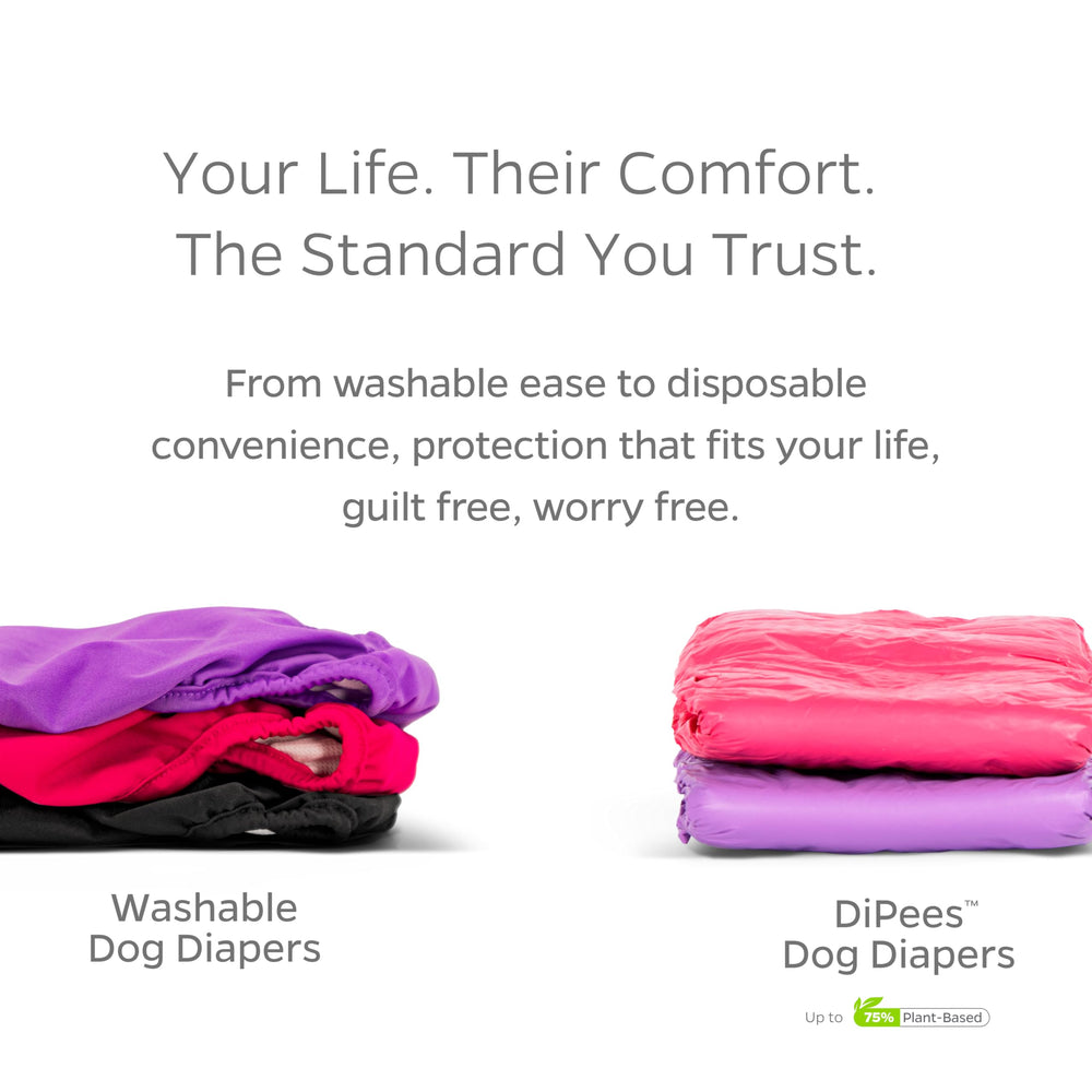 Pet Parents three-pack of washable dog diapers shown together.