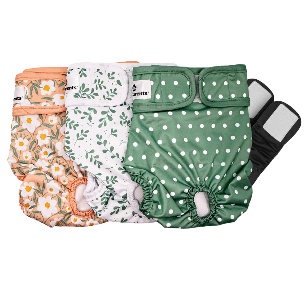 Pet Parents washable dog diaper in the Small Daisy design, shown from the front.