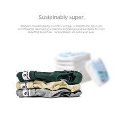 Pet Parents washable dog diaper shown fitted on a dog.