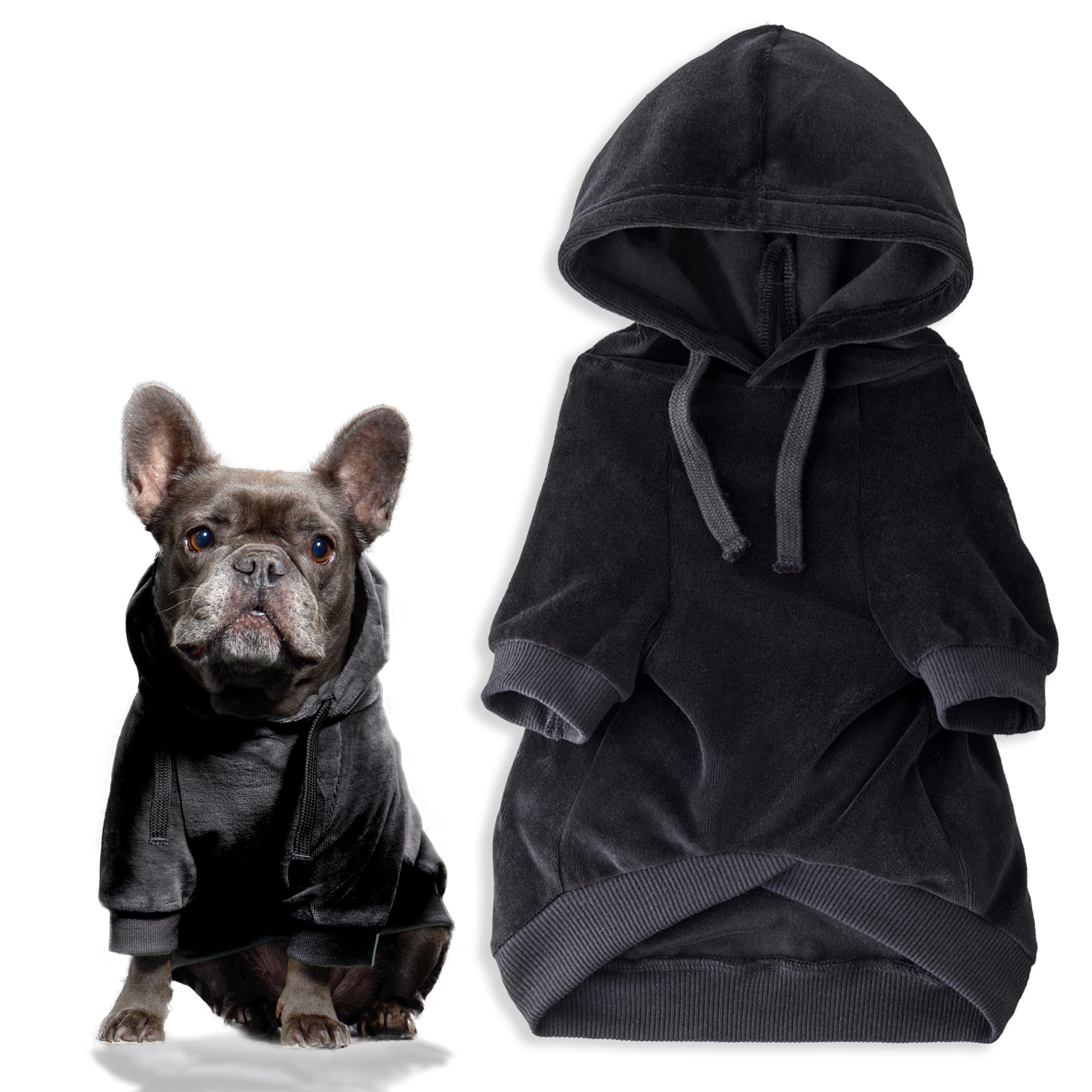 Pet Passion Cooper II Dog Hoodie shown from the front in black.