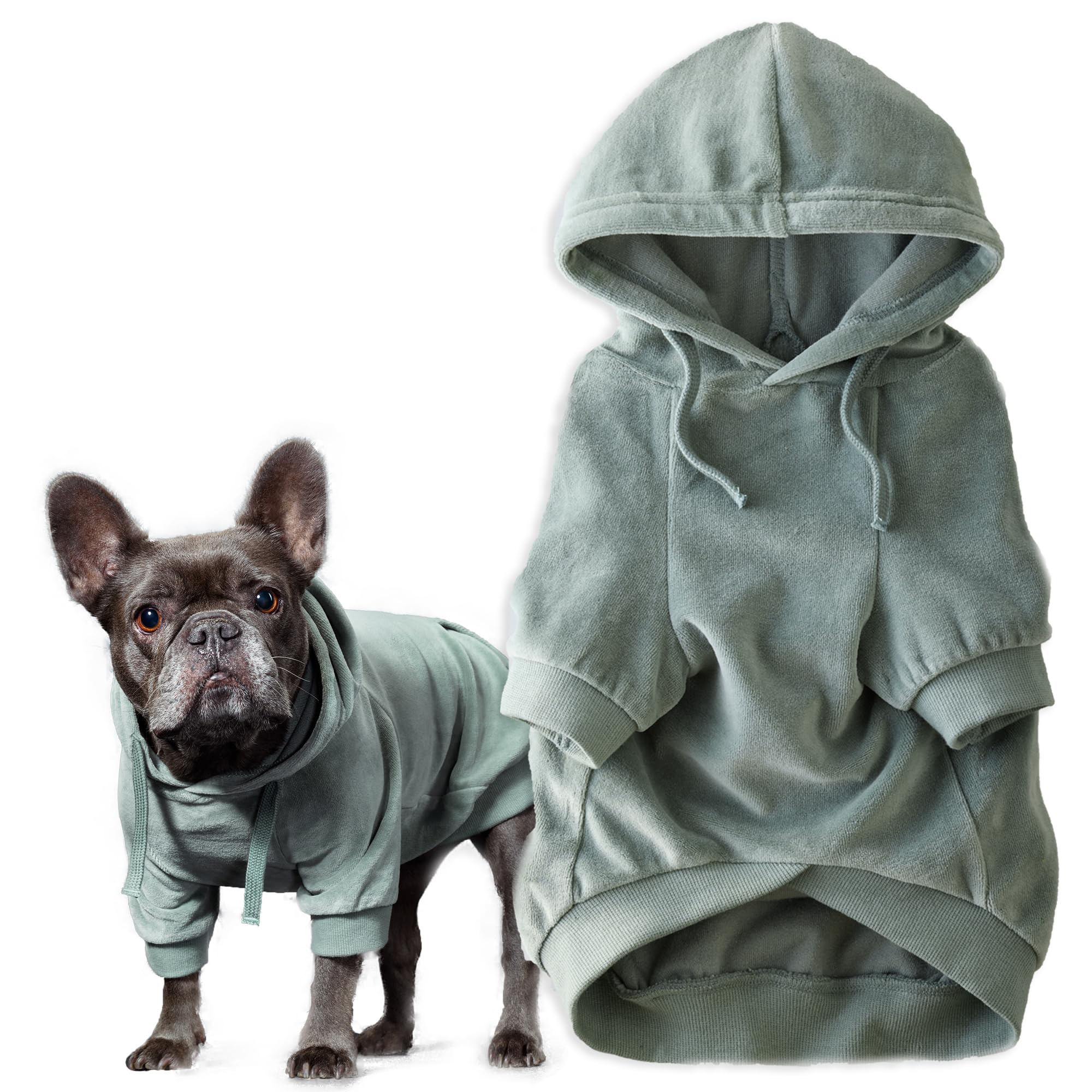 Pet Passion Cooper II Dog Hoodie shown from the front in sage.
