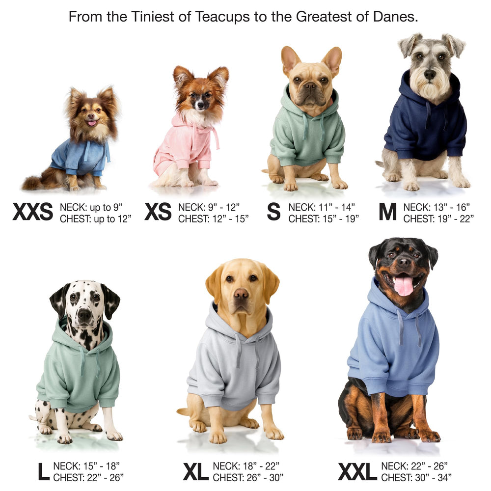 Pet Passion Cooper II Dog Hoodie shown on a dog.