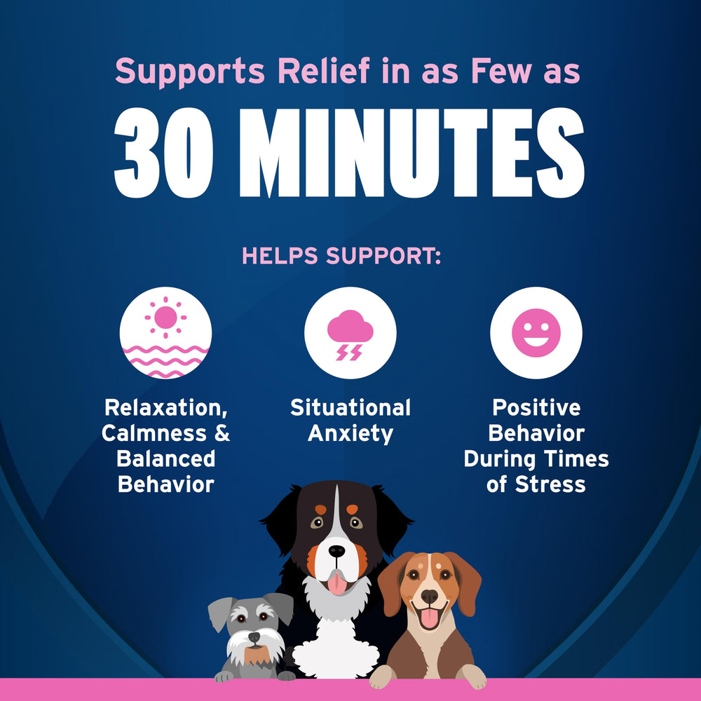 A dog is offered Pet Protect Calming Soft Chews.