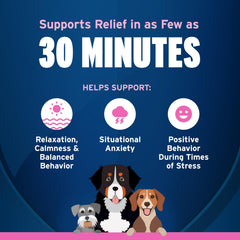 A dog is offered Pet Protect Calming Soft Chews.