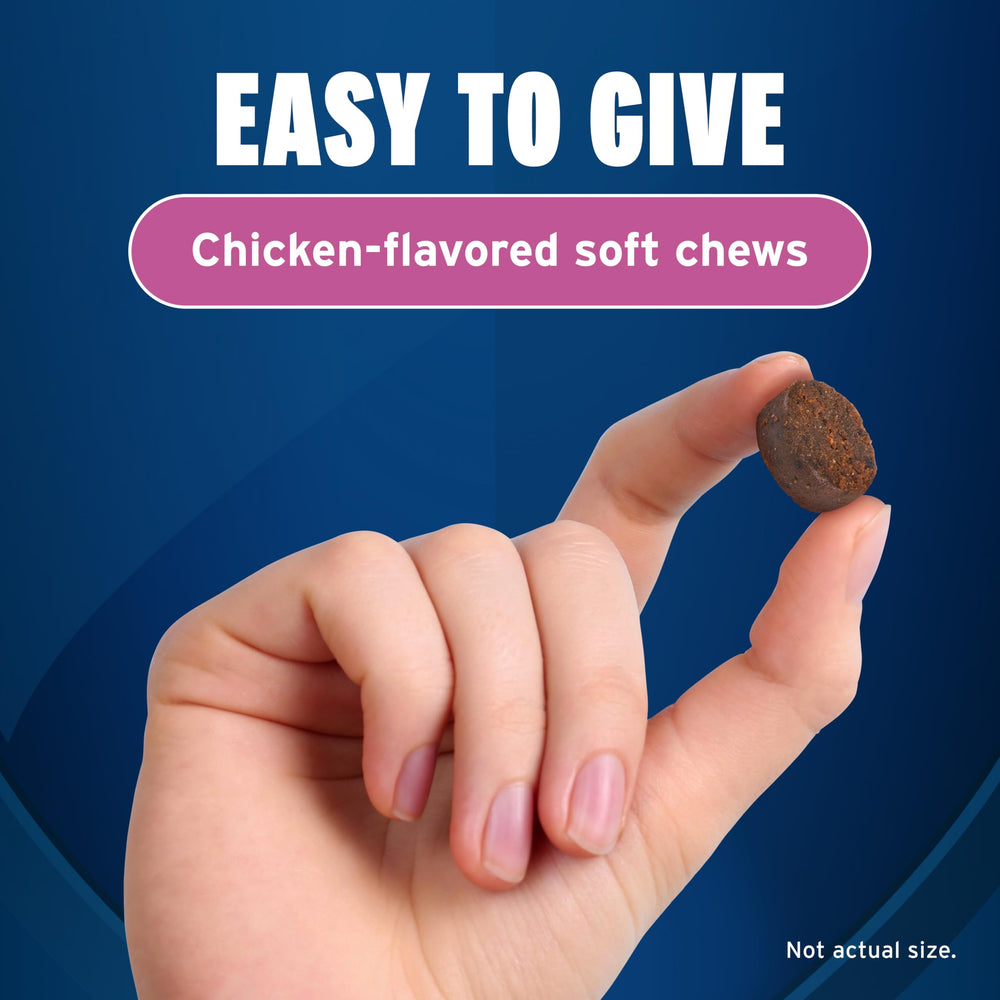 Pet Protect Calming Soft Chews package shown from an angled view.