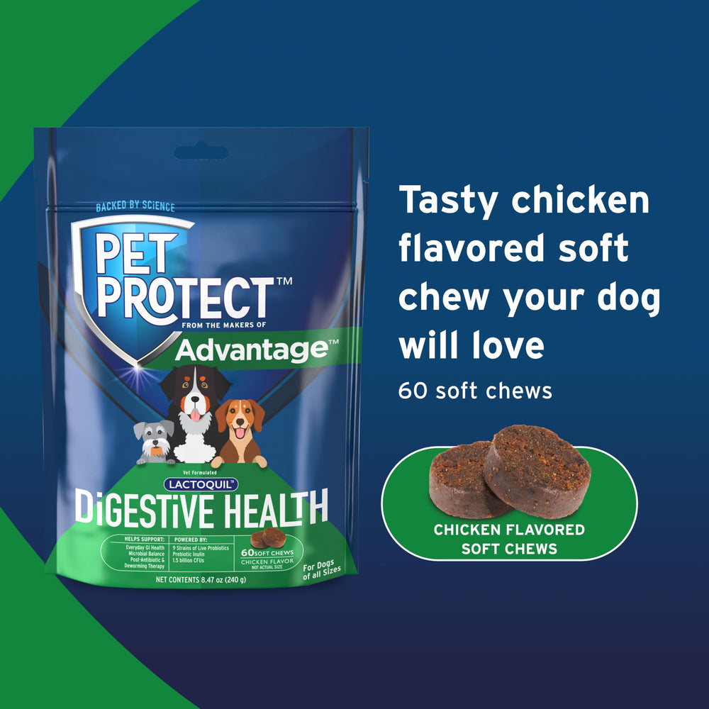 Pet Protect Digestive Health bag shown with its back label visible.