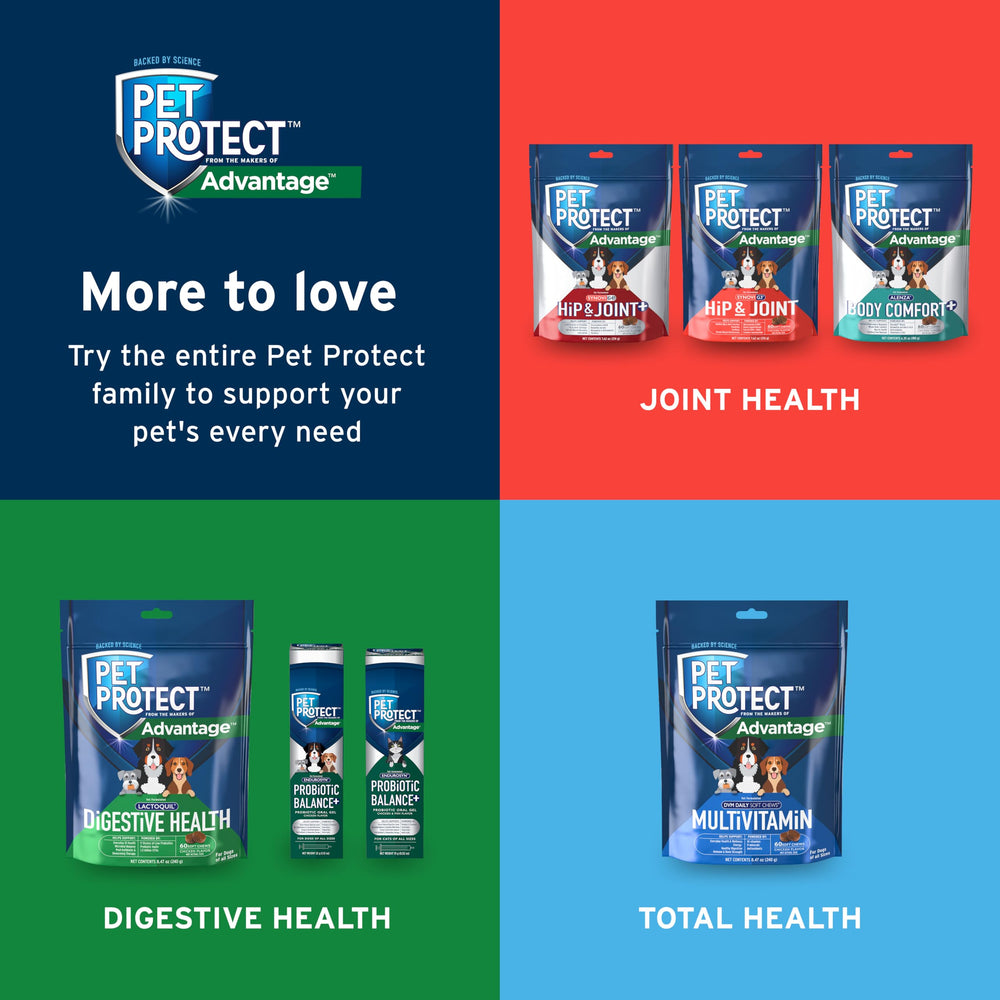 Pet Protect Digestive Health soft chew shown in a close detail view.