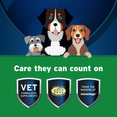 Pet Protect Digestive Health soft chew being given to a dog.