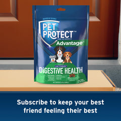 Pet Protect Digestive Health supplement shown as a complete packaged product.