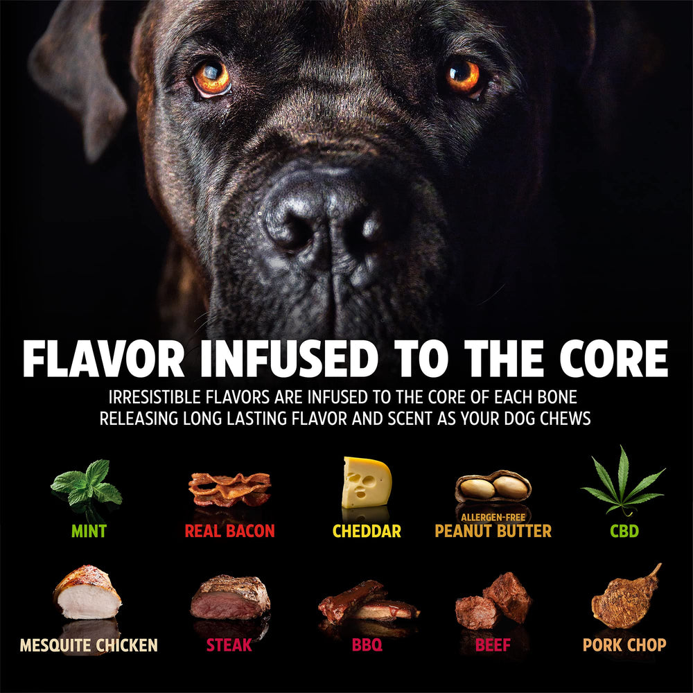 Pet Qwerks Dinosaur BarkBone detail showing the bacon-flavored chew.