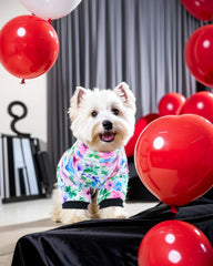 PET SHOW dog pajamas showing the four-leg pullover design.