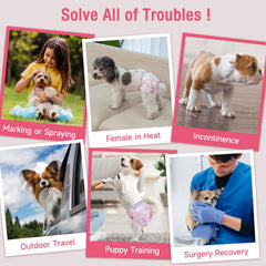 Pet Soft dog diaper view highlighting its absorbent core.