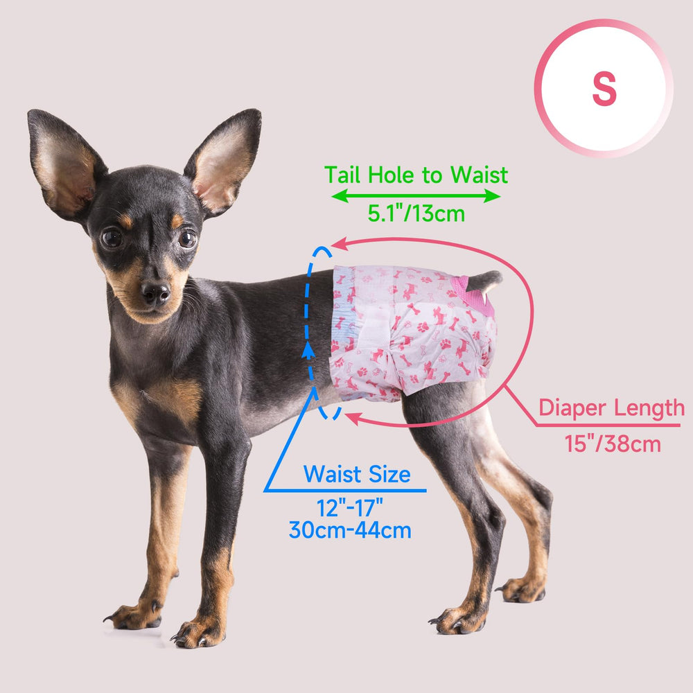 Pet Soft dog diaper shown in use for everyday or travel needs.