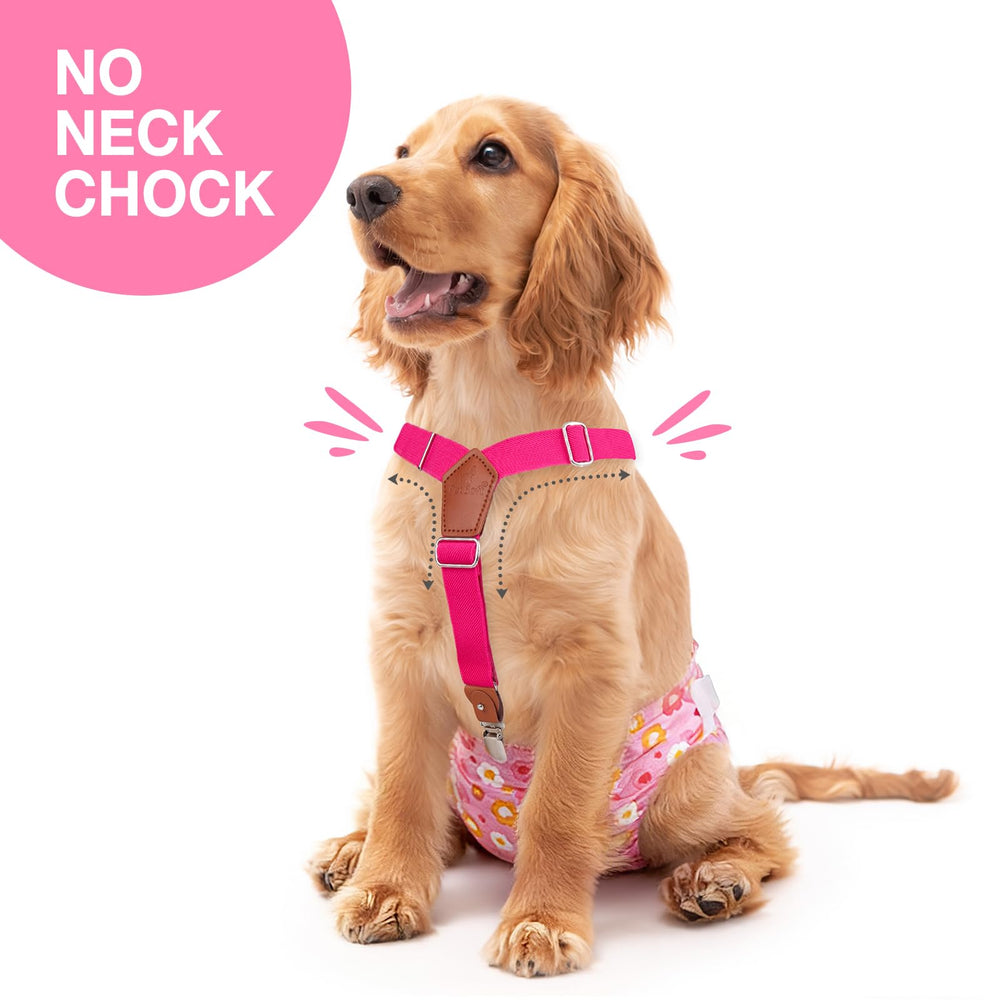 Pet Soft Dog Suspenders shown as a black-and-pink pair.