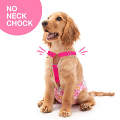 Pet Soft Dog Suspenders shown as a black-and-pink pair.