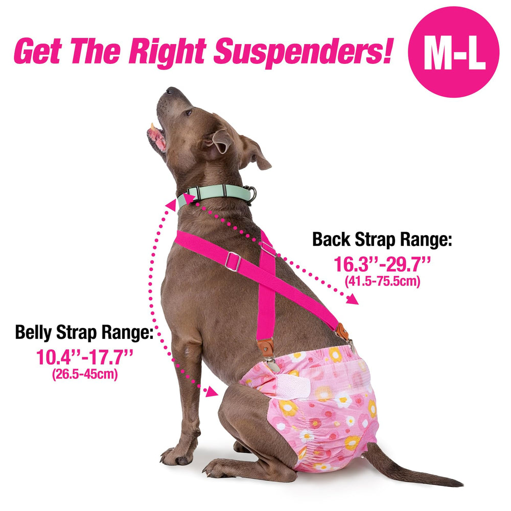Pet Soft Dog Suspenders showing the soft, stretchy webbing.