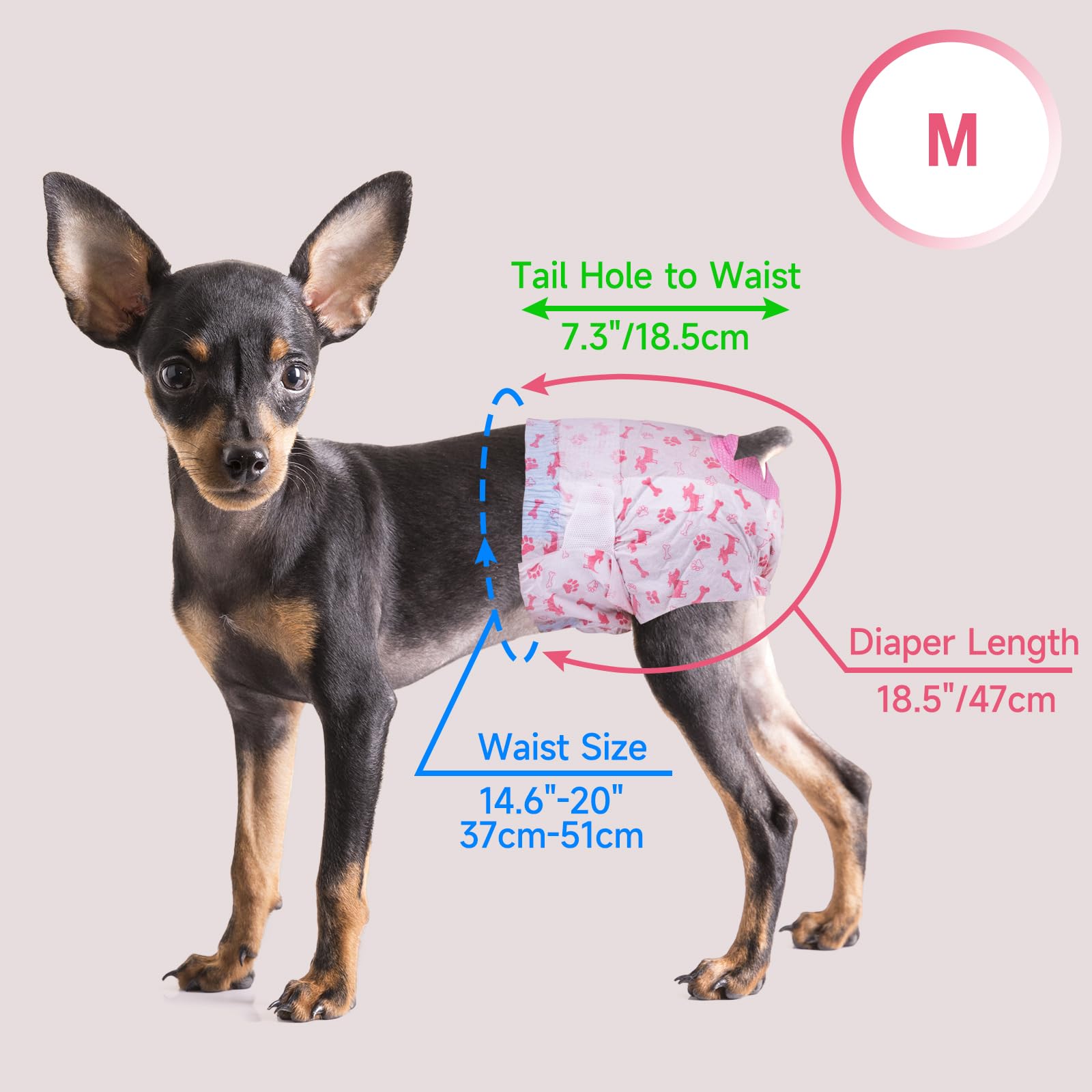 Pet Soft female dog diapers shown with their fashion pattern detail.