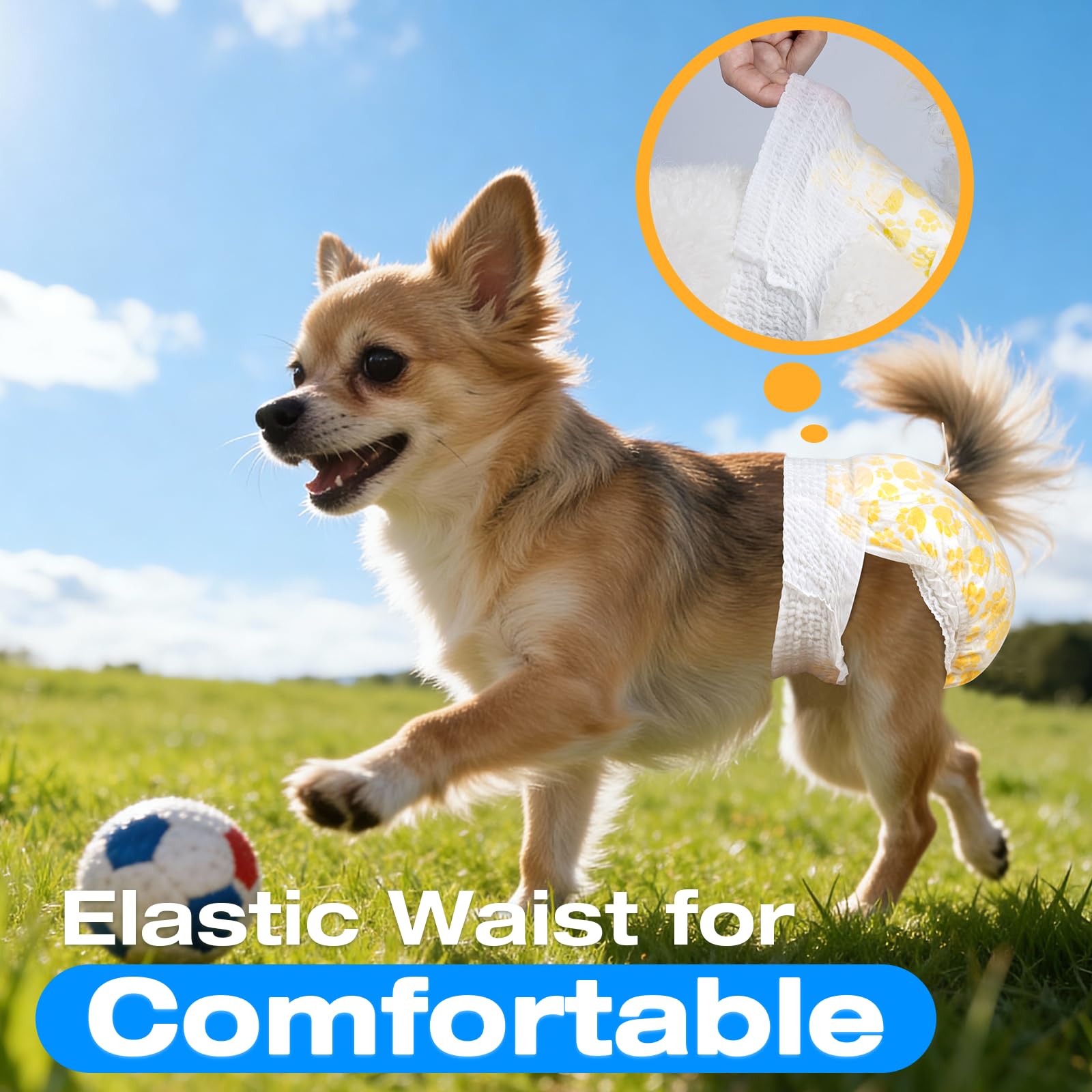 Pet Soft female dog diaper shown in its pull-up style.