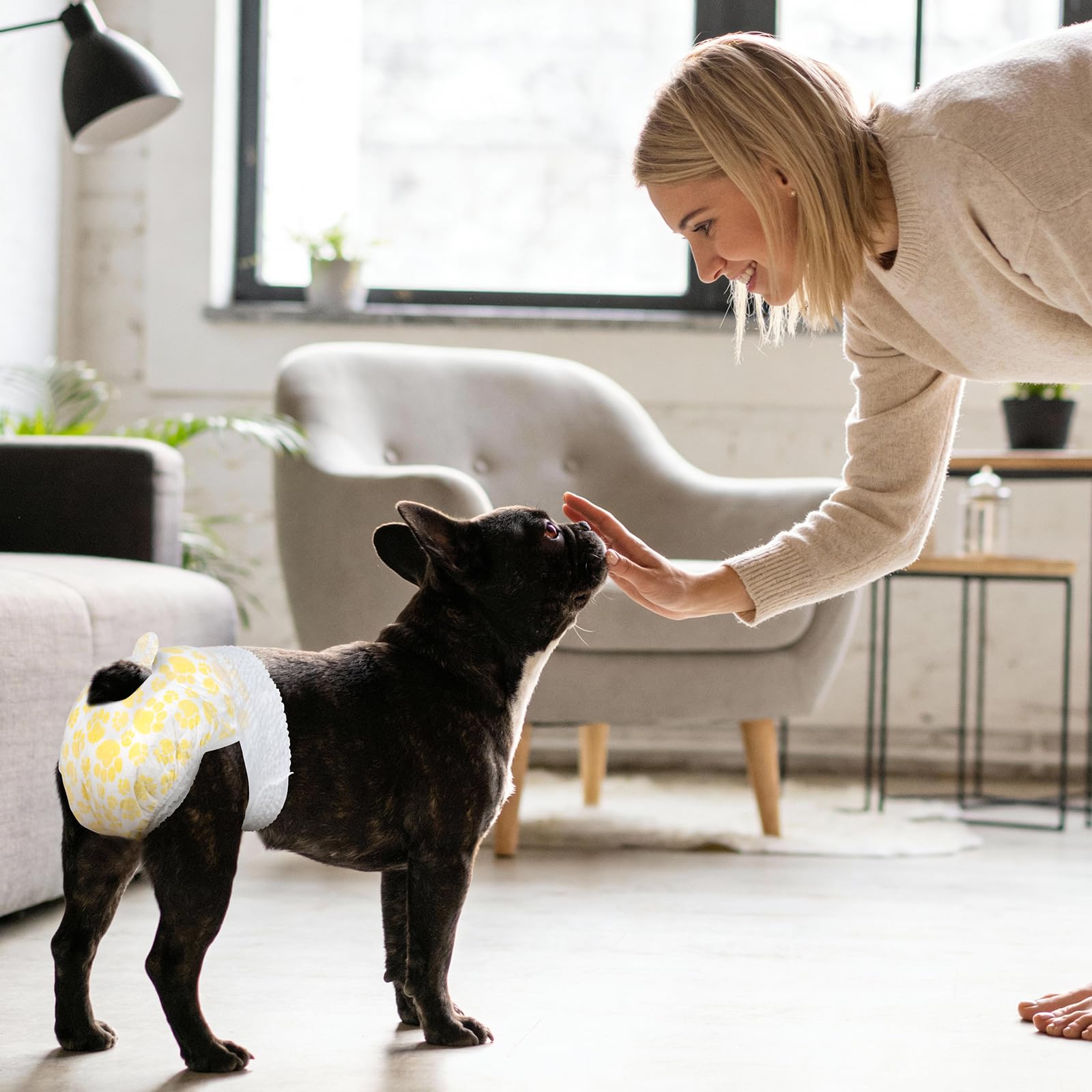 Pet Soft female dog diapers shown as a 20-count pack.