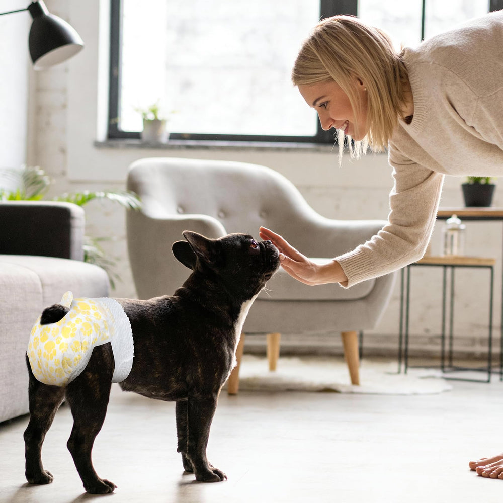 Pet Soft female dog diapers shown as a 20-count pack.
