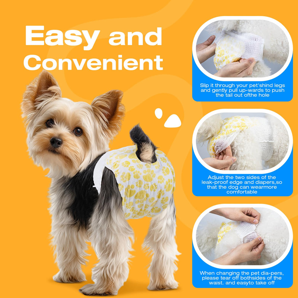 A dog wearing a Pet Soft female dog diaper.