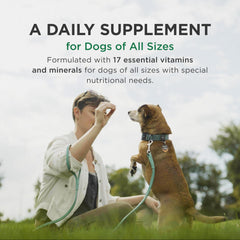 Pet-Tabs dog multivitamin product view highlighting its liver meat flavor.