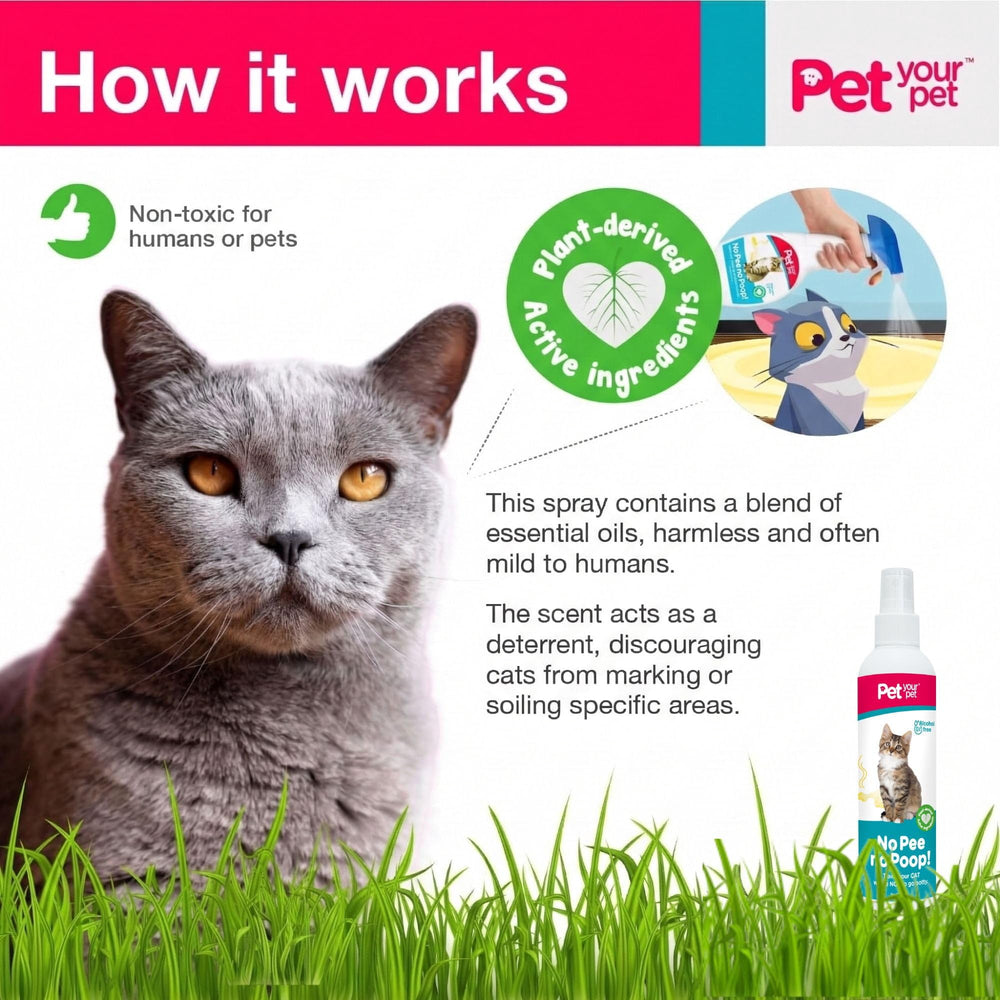 PET YOUR PET cat potty training spray label shown in a close-up.