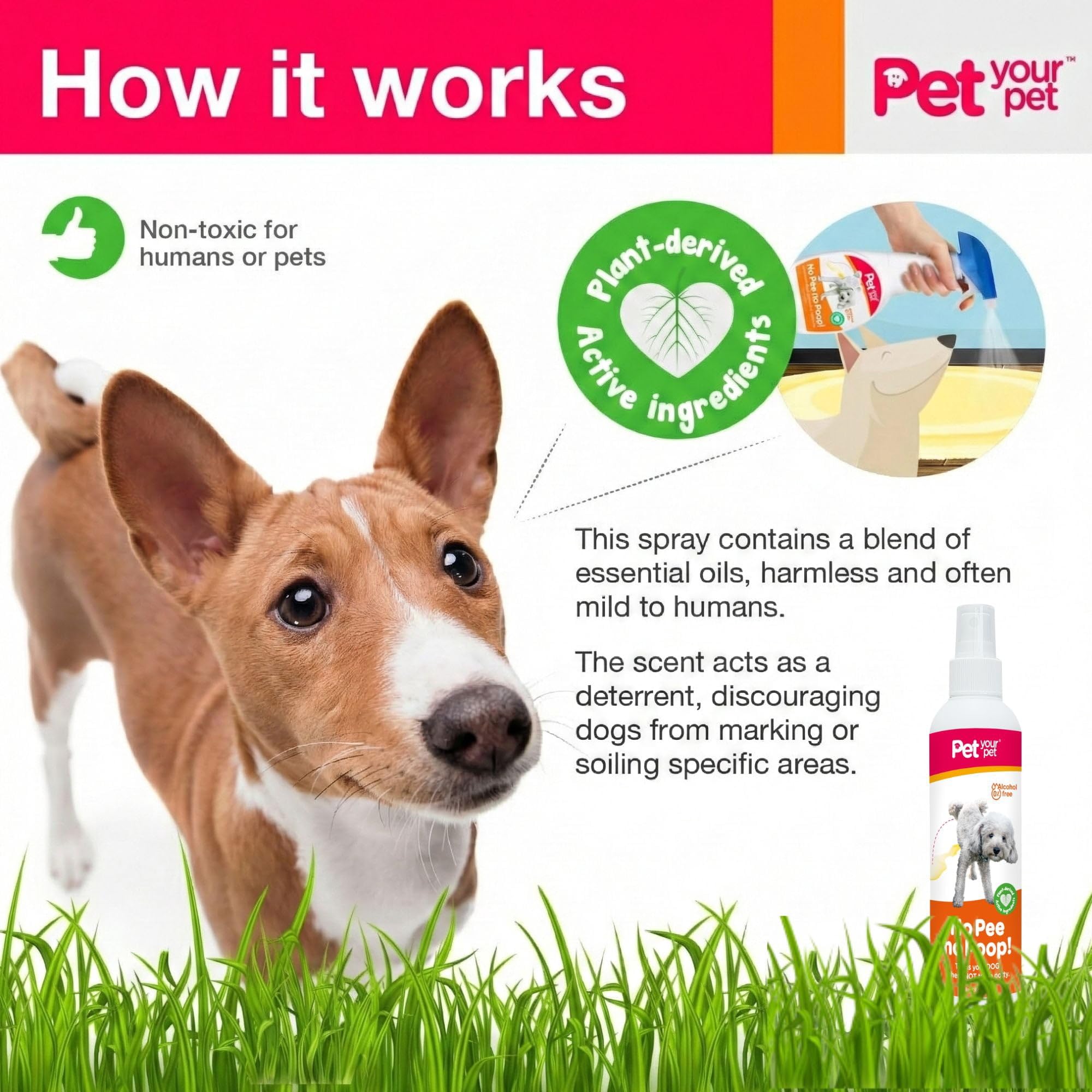 PET YOUR PET Dog Potty Training Spray label shown in close-up.