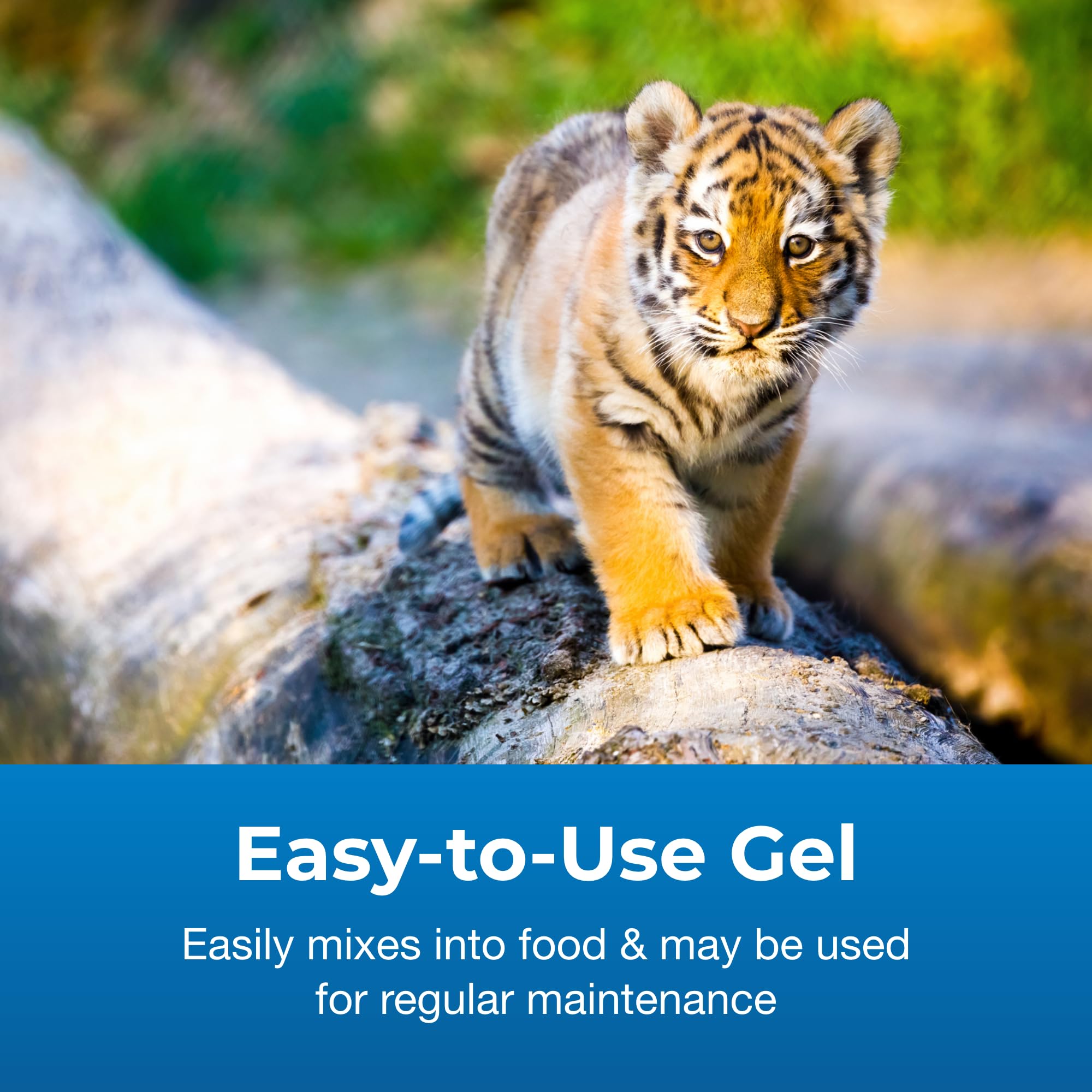 PetAg Bene-Bac Plus gel shown in a large mammal care setting.