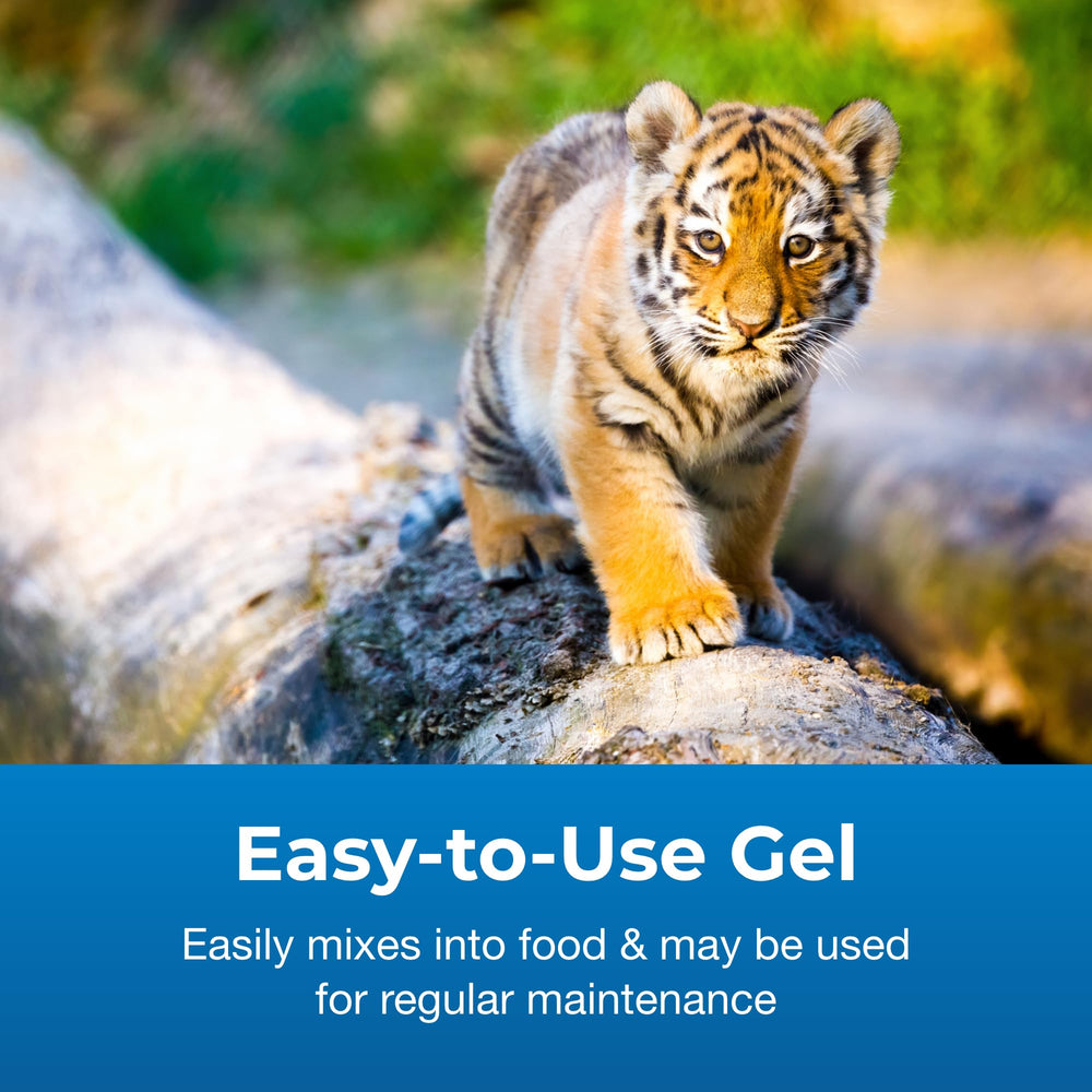 PetAg Bene-Bac Plus gel shown in a large mammal care setting.