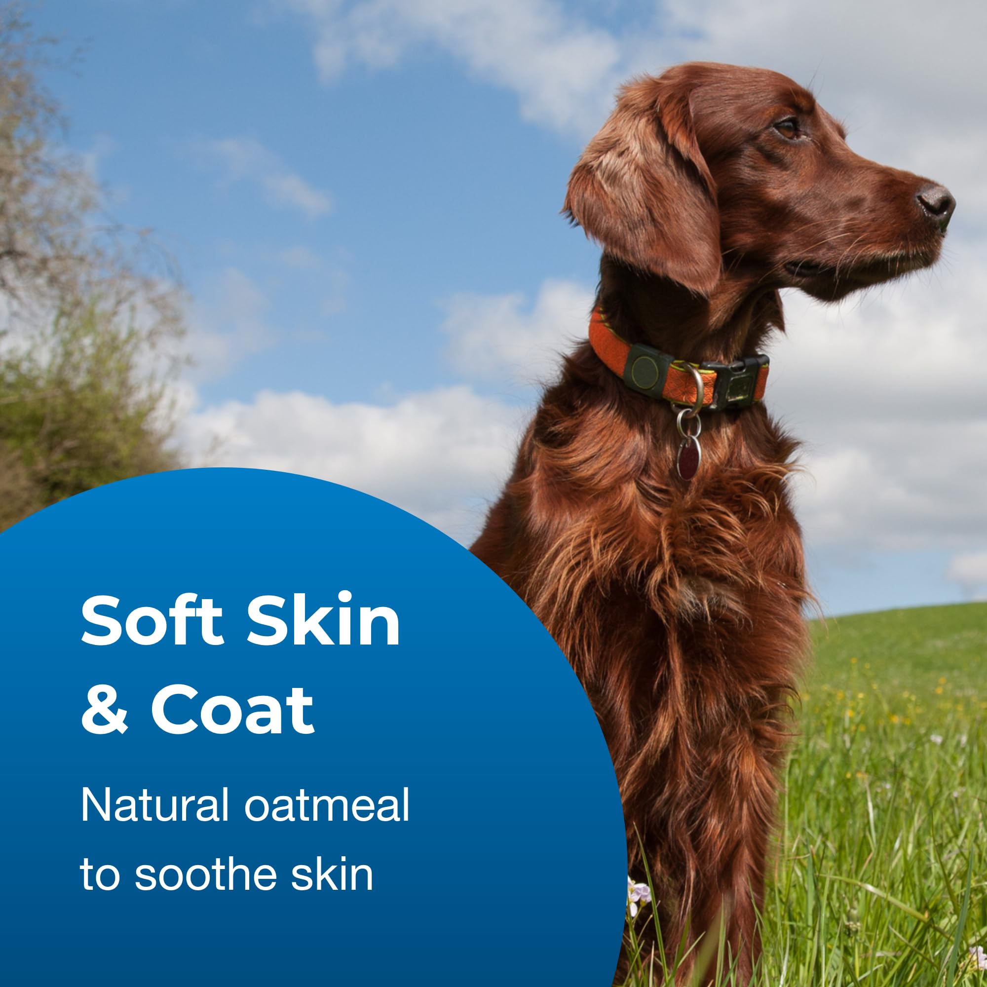 PetAg dog shampoo product focus featuring its oatmeal, aloe vera and vitamin E formula.