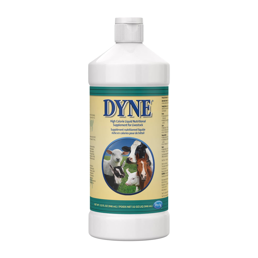 PetAg Dyne liquid supplement bottle shown from the front.
