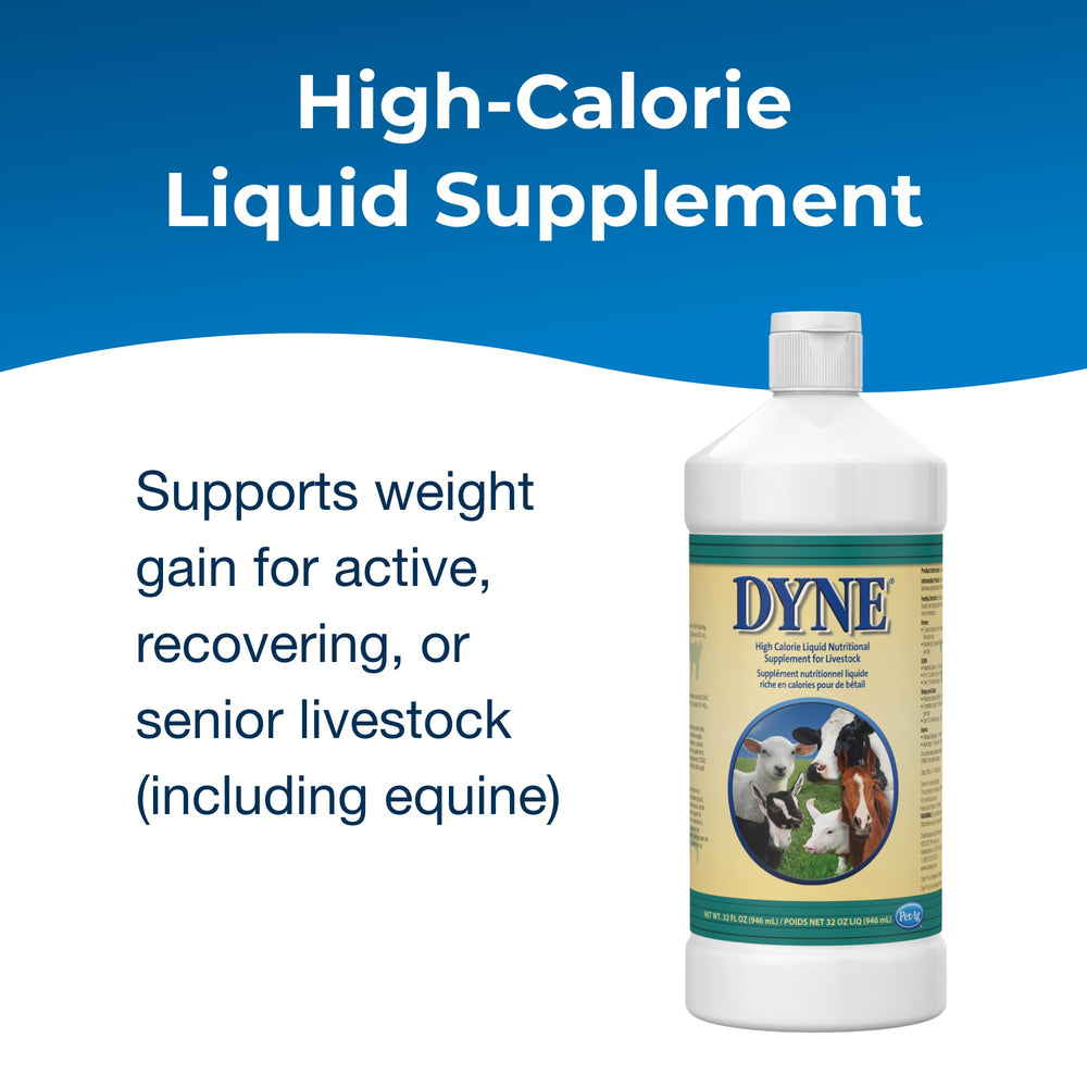 PetAg Dyne supplement label shown in close-up.
