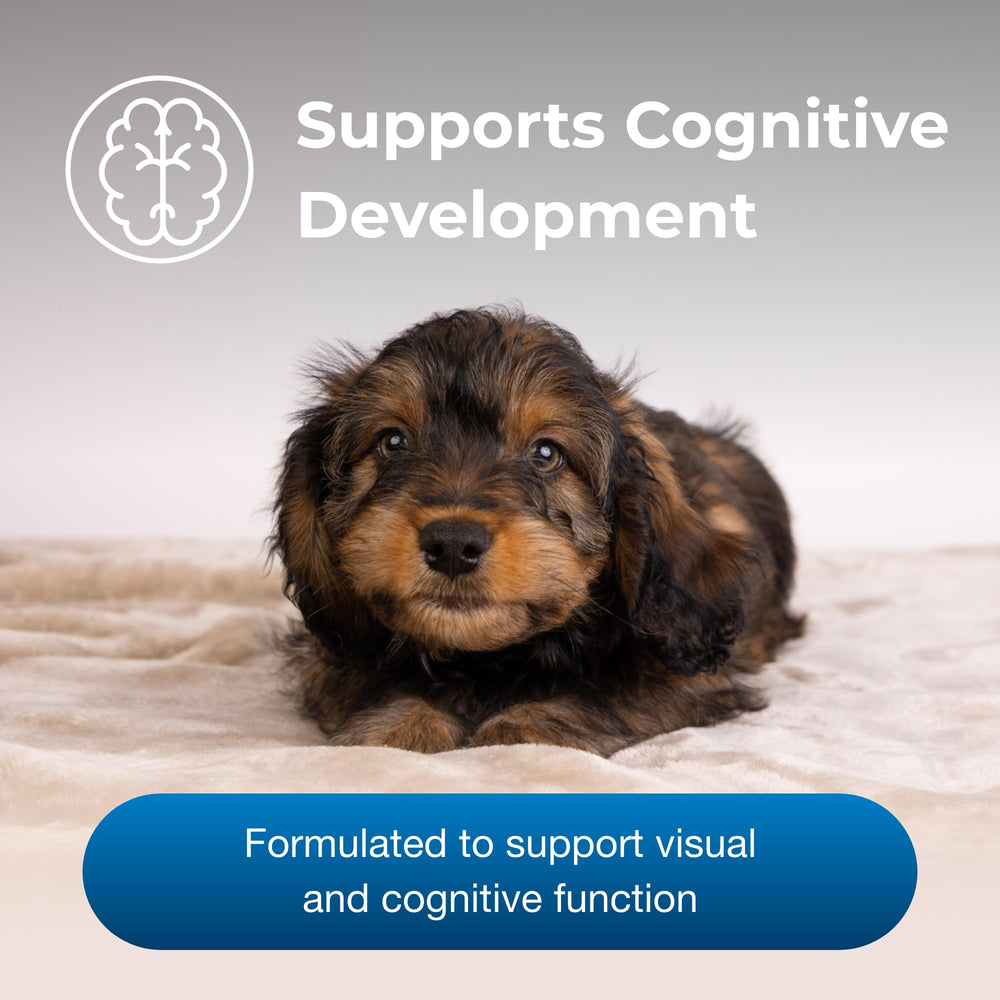 PetAg Esbilac Healthy Development shown for nutritional support during puppy weaning.