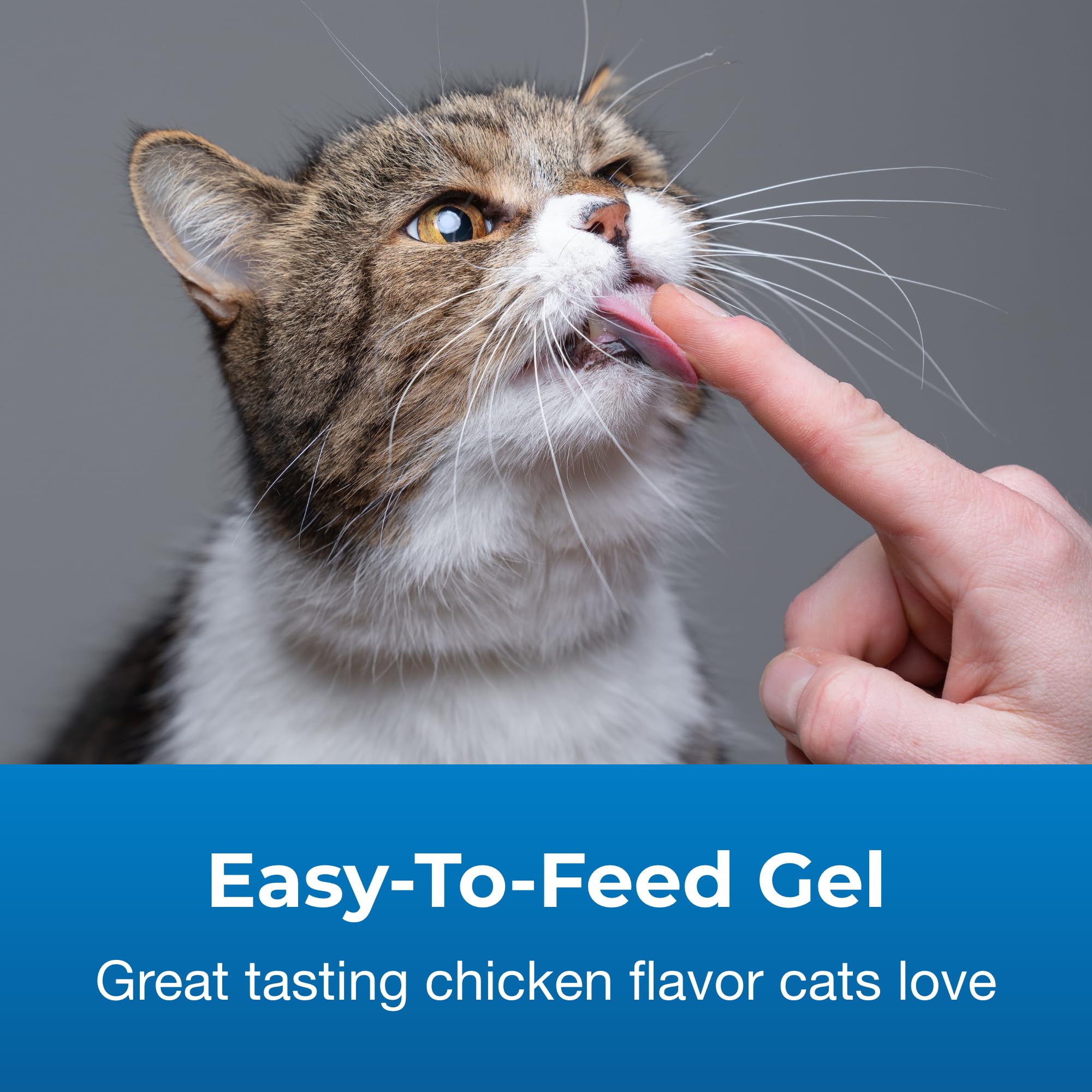 PetAg Hairball Solution Gel ingredient label shown in detail.