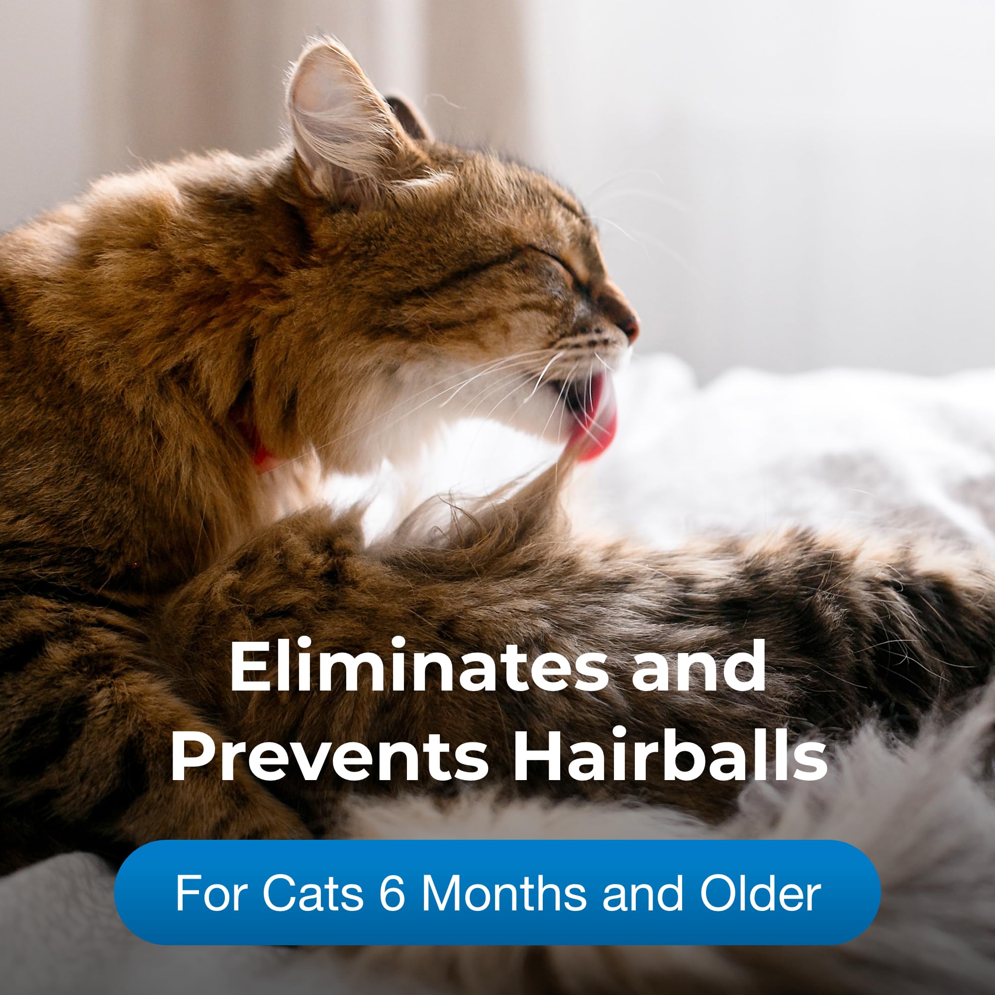 PetAg Hairball Solution Gel shown being administered to a cat.