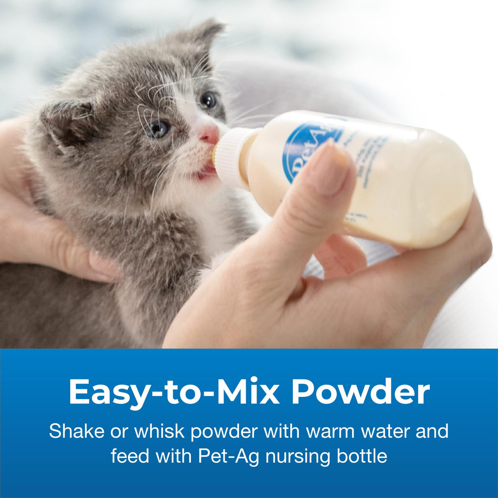 PetAg PetLac kitten milk replacement powder shown in a kitten feeding scene.