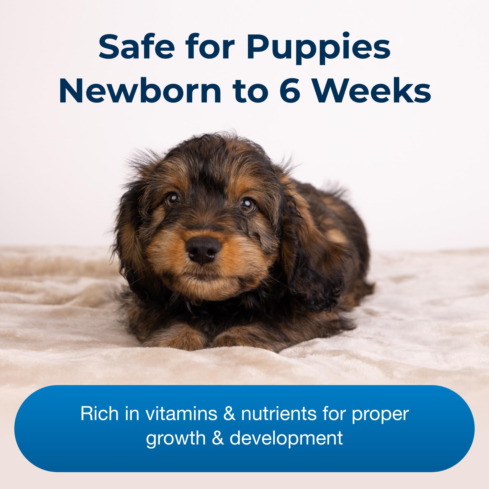 PetAg puppy milk replacer shown being used to feed a young puppy.