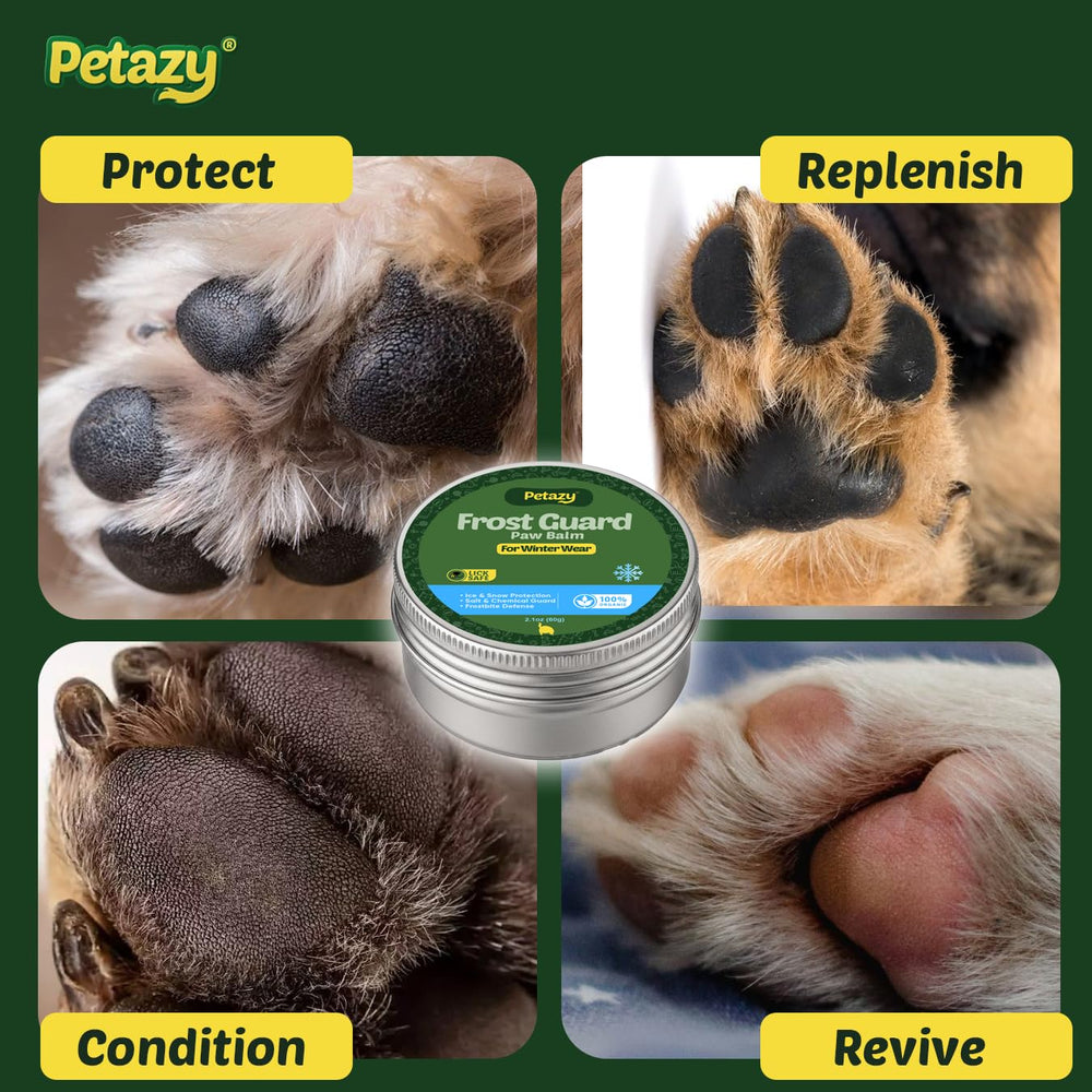 Petazy Frost Guard dog paw balm shown for use on a dry dog nose.