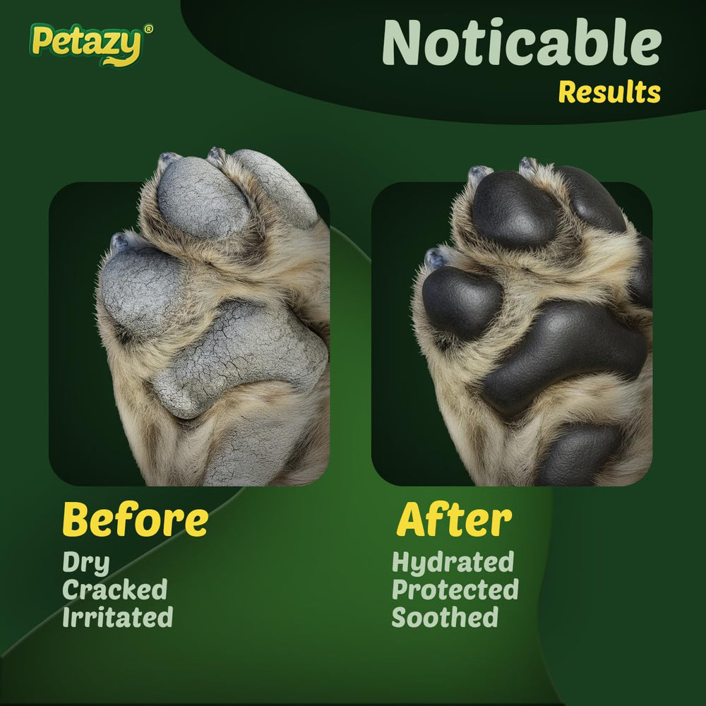 Petazy Frost Guard dog paw balm being applied to a dog's paw pads.