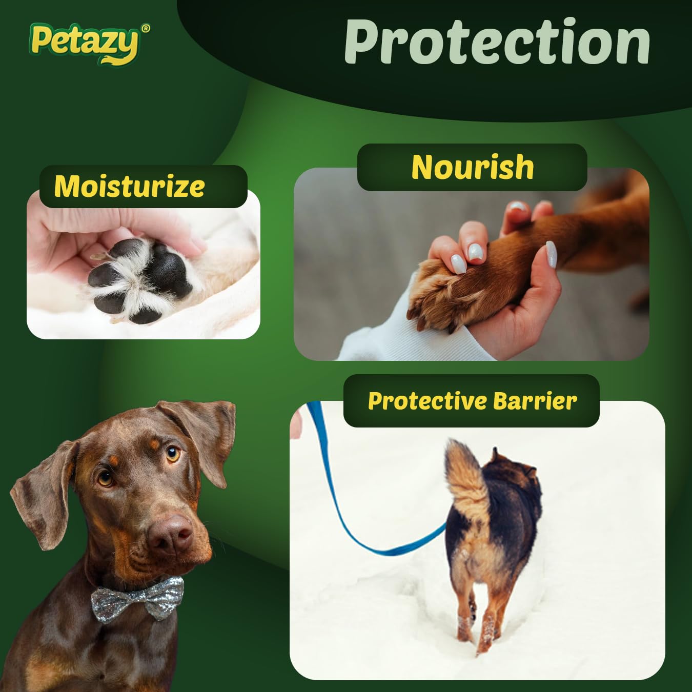 Petazy Frost Guard dog paw balm highlighting coconut oil, shea butter, and vitamin E.