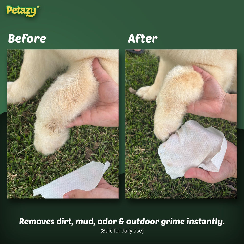 Resealable flip-top lid on a pack of Petazy Pet Wipes.