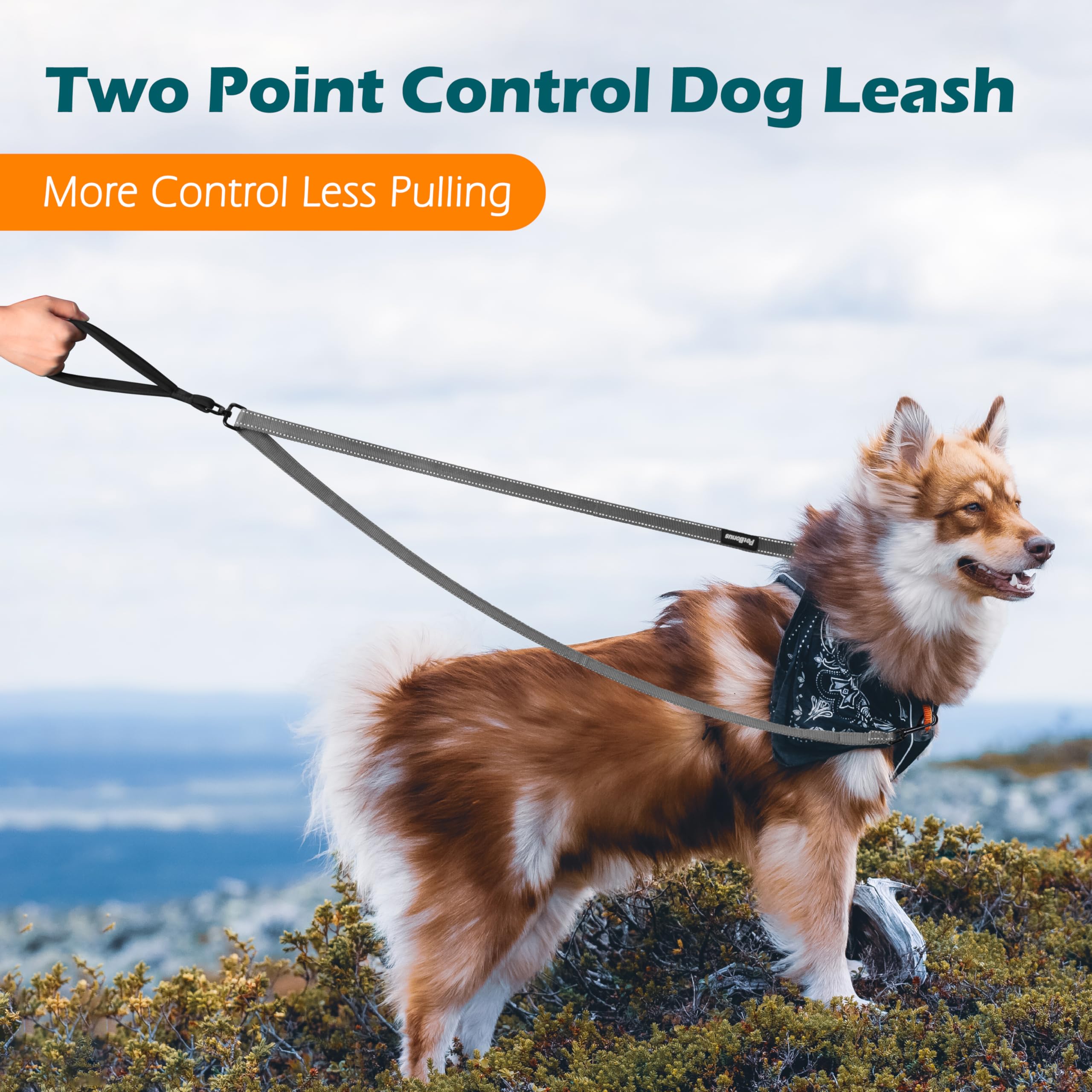 PetBonus two-point dog leash with its two attachment clips in view.