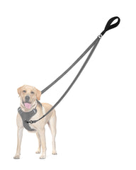 PetBonus two-point dog leash shown from the front.