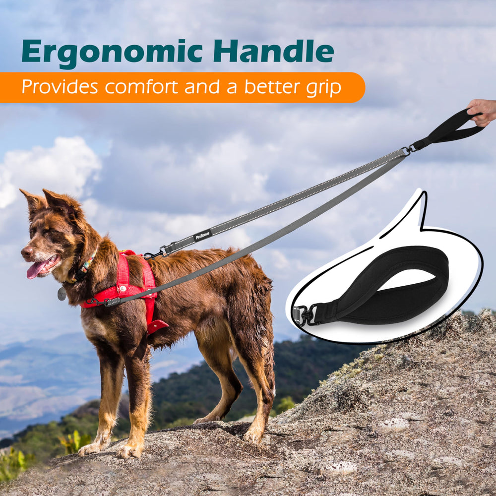 PetBonus two-point dog leash detail showing reflective stitching along the leash.